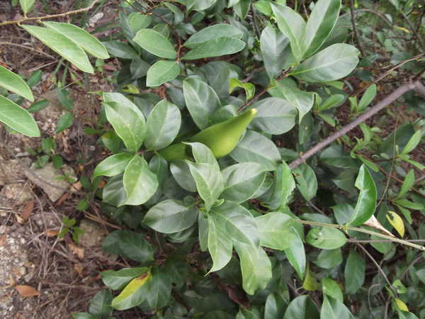 “BJL平台集团”
郭碧婷待产在即 向佐宣布重要喜讯 疑似透露了宝宝的英文名