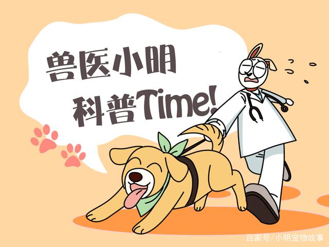 BJL平台集团-
定律?今晨欧冠打进乌龙球的球队均输球 皇马中卫刷新羞耻下限(图1) BJL平台集团