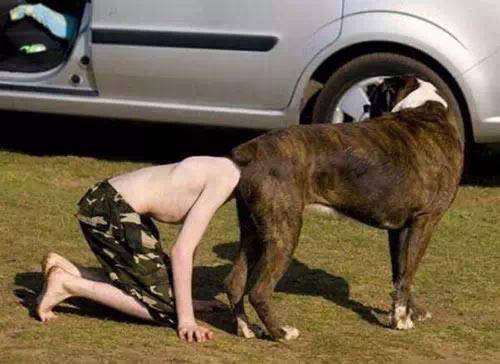 “BJL平台集团”
搞笑：逐日一乐 让你一看就想笑的图片(图8)