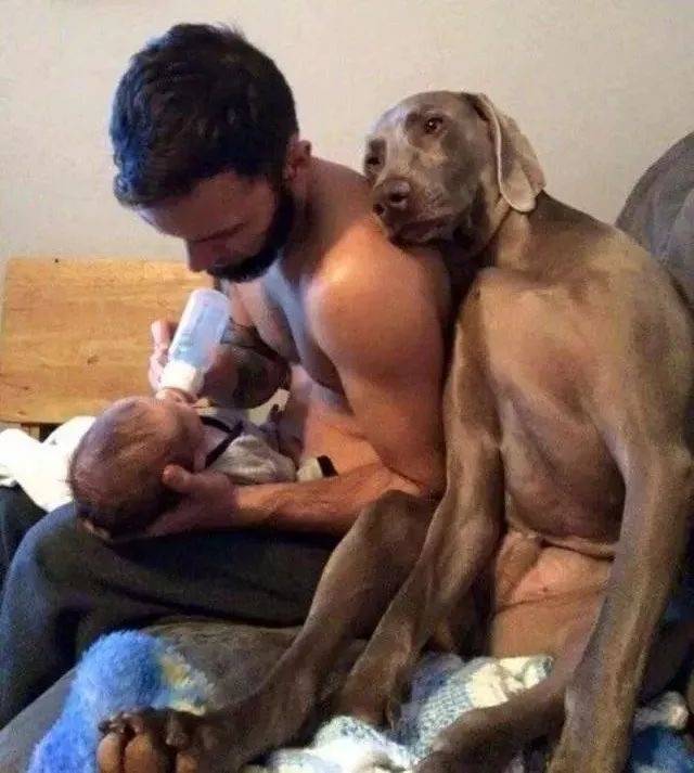 “BJL平台集团”
搞笑：逐日一乐 让你一看就想笑的图片(图16)